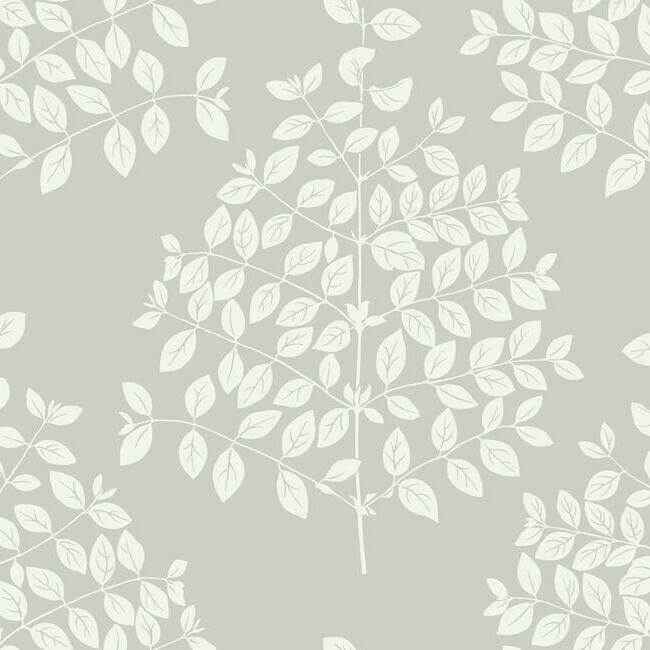 Tender Pearl Grey Wallpaper - York Wallcoverings - OS4252