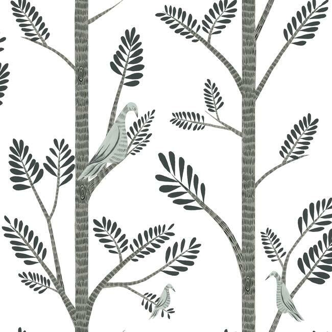aviary-branch-premium-peel-stick-wallpaper-dove-grey-york-wallcoverings-psw1238rl