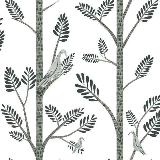Aviary Branch Grey Peel & Stick Wallpaper - York Wallcoverings - PSW1238RL - York Wallcoverings Wallpaper