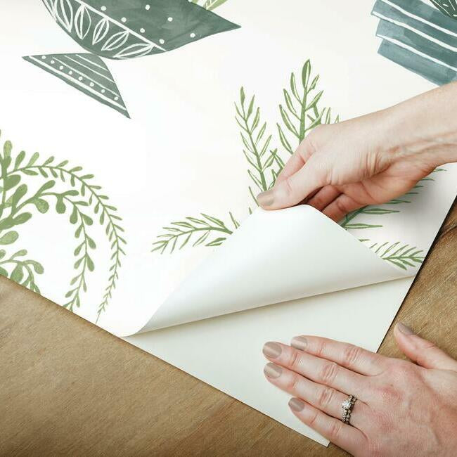 plant-party-premium-peel-stick-wallpaper-canopy-york-wallcoverings-psw1249rl