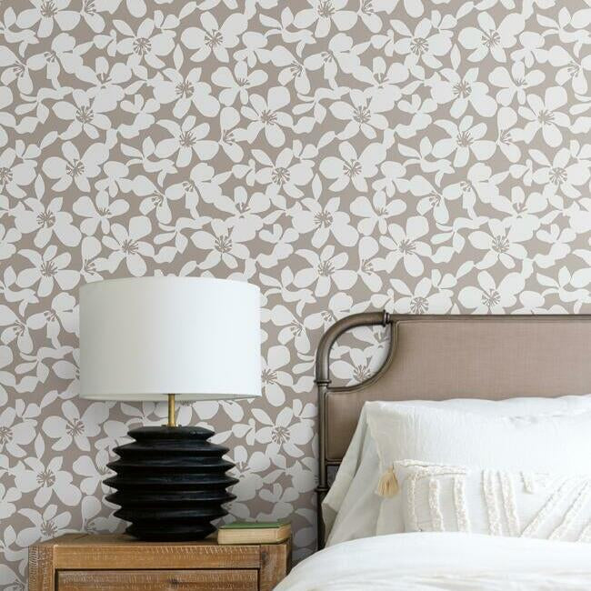 free-spirit-wallpaper-mocha-york-wallcoverings-bo6681