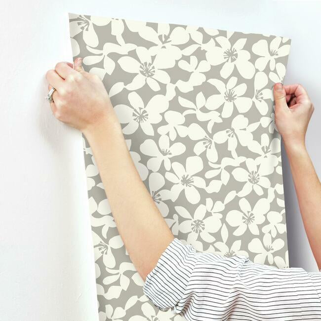 free-spirit-wallpaper-mocha-york-wallcoverings-bo6681