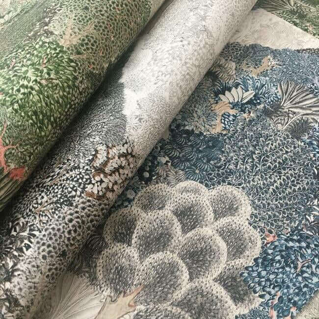 mystic-forest-green-coral-wallpaper-york-wallcoverings-bo6702 - York Wallcoverings Wallpaper
