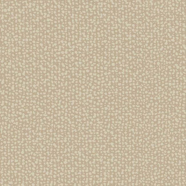 galaxies-clay-wallpaper-york-wallcoverings-dd3806 - York Wallcoverings Wallpaper