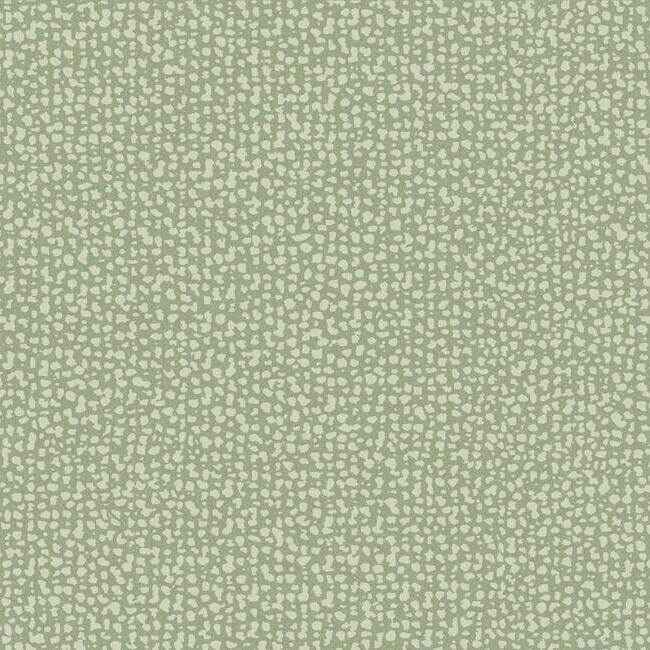 Galaxies Green Wallpaper - York Wallcoverings - DD3801