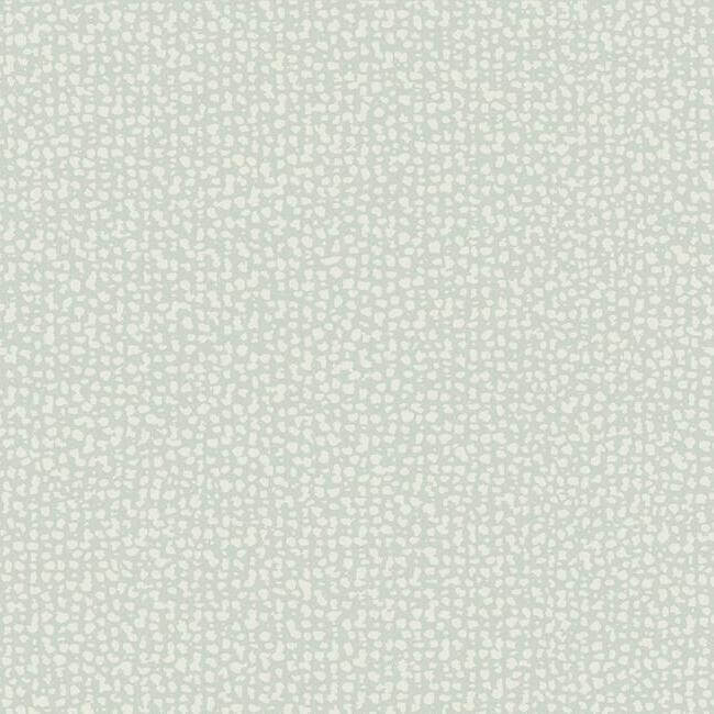 galaxies-grey-wallpaper-york-wallcoverings-dd3804 - York Wallcoverings Wallpaper