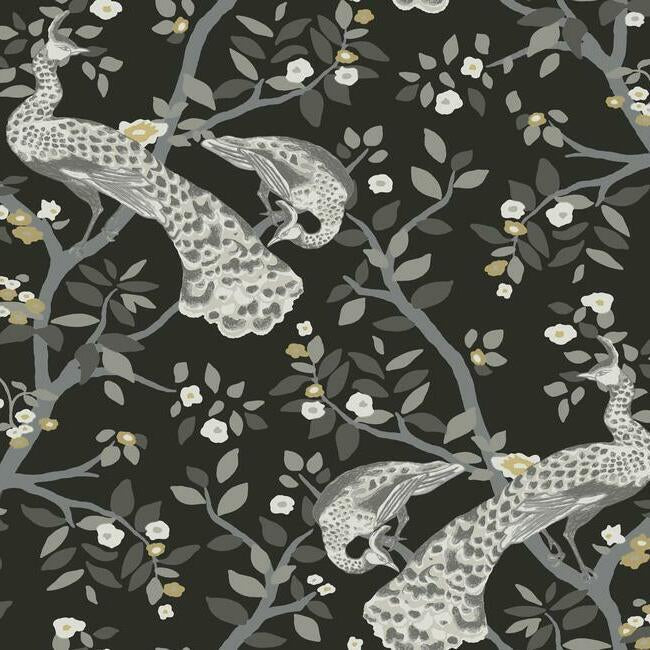 plume-wallpaper-black-gold-york-wallcoverings-bw3802