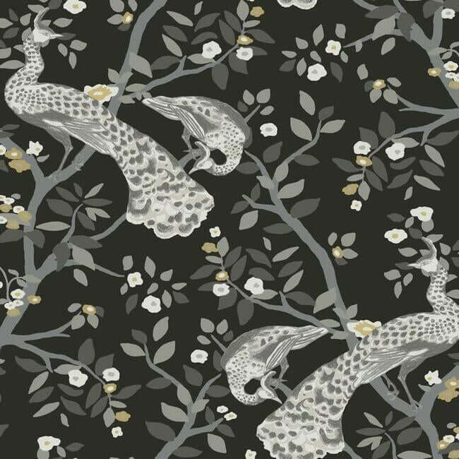 plume-black-gold-wallpaper-york-wallcoverings-bw3802 - York Wallcoverings Wallpaper