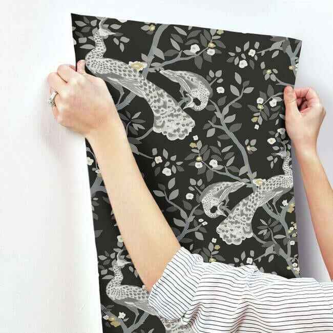 Plume Black & Gold Wallpaper - York Wallcoverings - BW3802 - York Wallcoverings Wallpaper