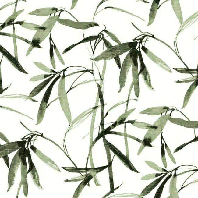 bamboo-ink-green-black-wallpaper-york-wallcoverings-bw3842 - York Wallcoverings Wallpaper