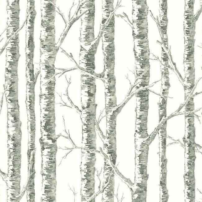 paper-birch-wallpaper-neutral-york-wallcoverings-bw3901