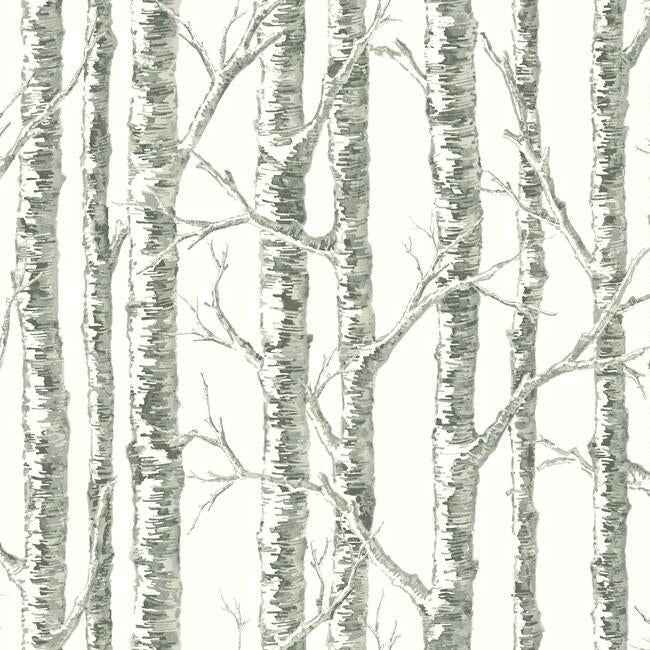 Paper Birch White & Grey Wallpaper - York Wallcoverings - BW3901