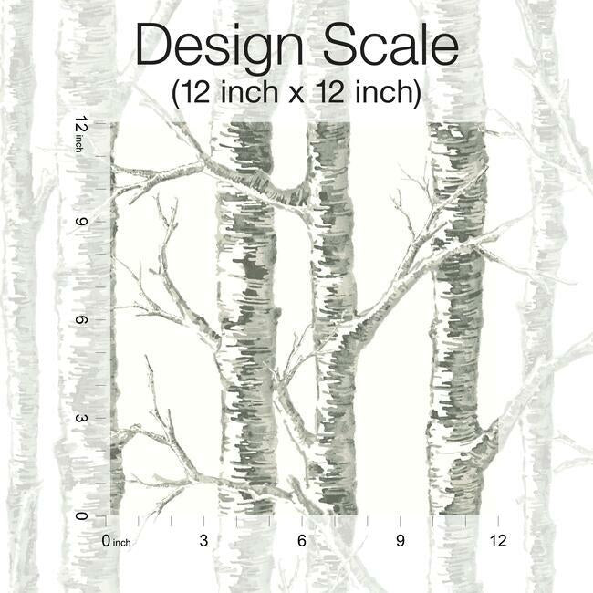 paper-birch-white-grey-wallpaper-york-wallcoverings-bw3901 - York Wallcoverings Wallpaper