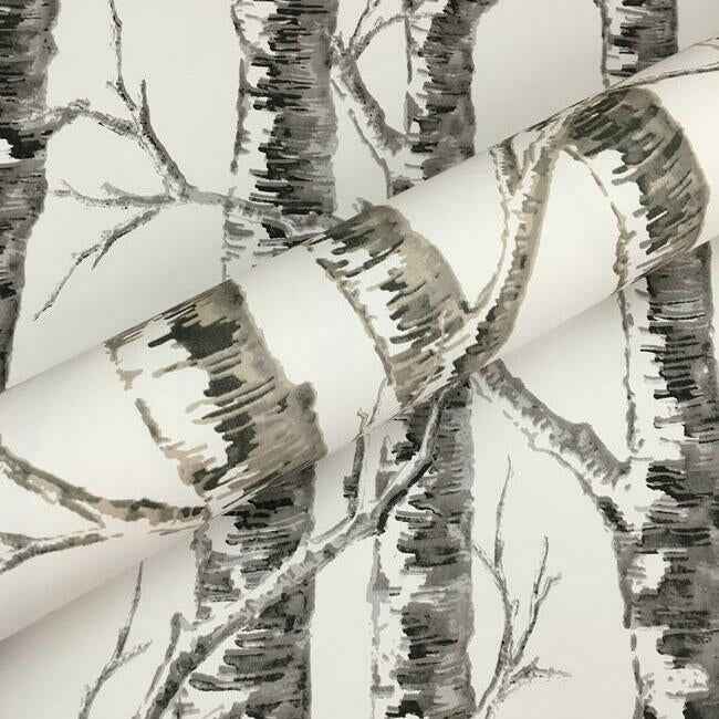 Paper Birch White & Grey Wallpaper - York Wallcoverings - BW3901 - York Wallcoverings Wallpaper