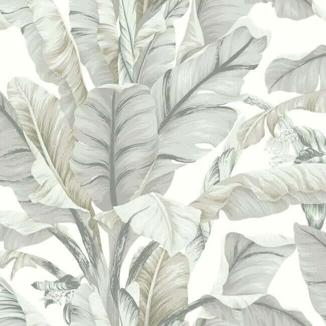 banana-leaf-white-cream-wallpaper-york-wallcoverings-bw3972 - York Wallcoverings Wallpaper