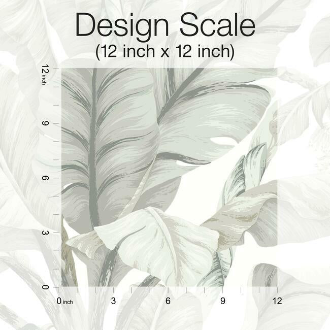 banana-leaf-wallpaper-light-neutral-york-wallcoverings-bw3972