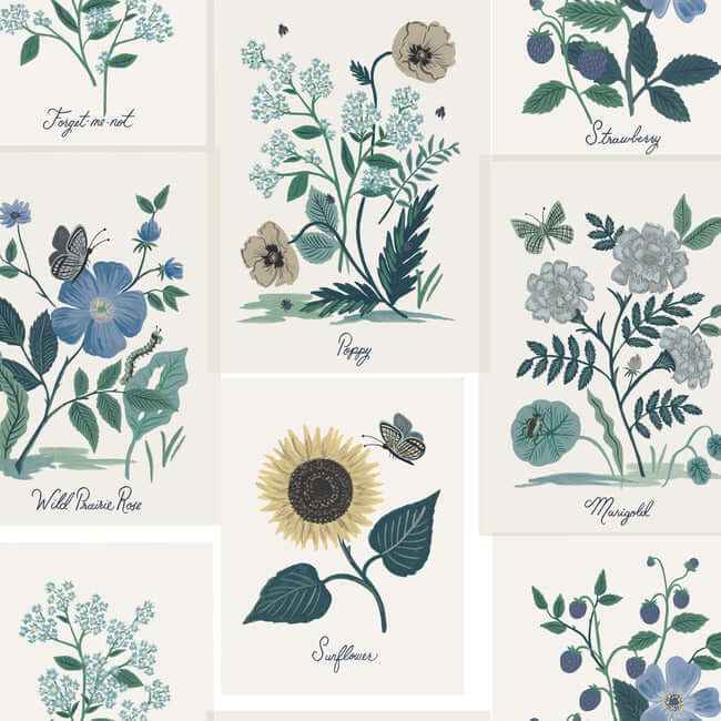 Botanical Prints White & Blue Wallpaper - York Wallcoverings - RP7335