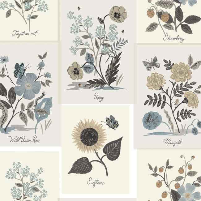 Botanical Prints Beige & Black Wallpaper - York Wallcoverings - RP7336
