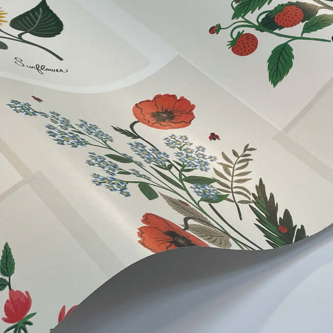 botanical-prints-wallpaper-white-york-wallcoverings-rp7334 - York Wallcoverings Wallpaper