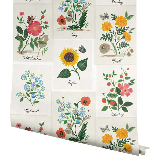 botanical-prints-wallpaper-white-york-wallcoverings-rp7334 - York Wallcoverings Wallpaper