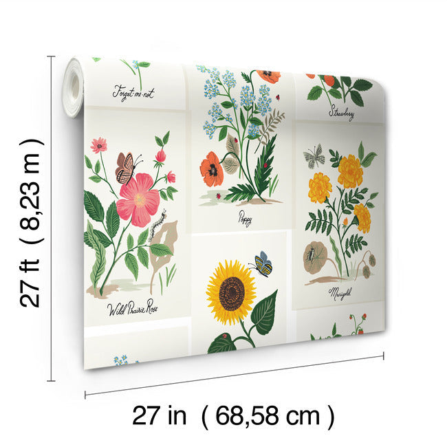 botanical-prints-wallpaper-white-york-wallcoverings-rp7334