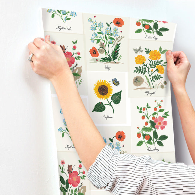 botanical-prints-wallpaper-white-york-wallcoverings-rp7334