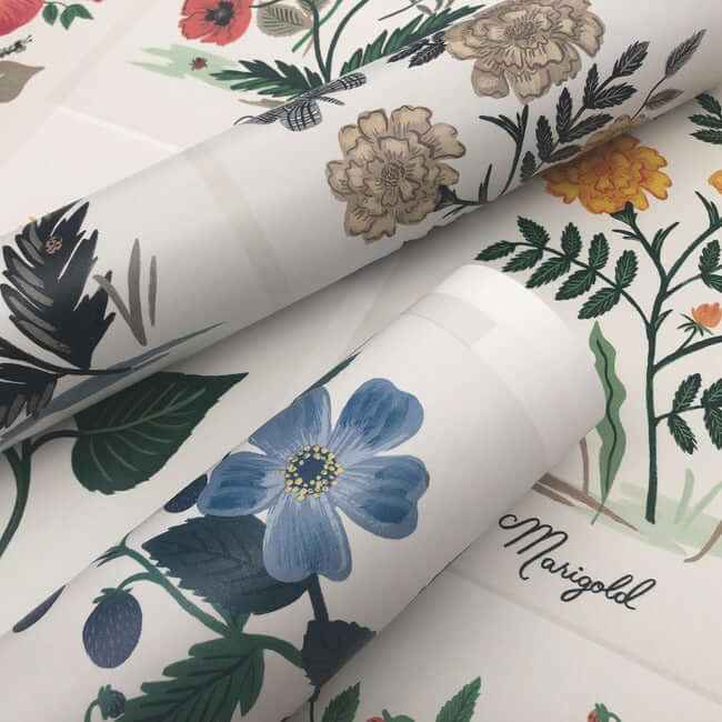 Botanical Prints White & Pink Wallpaper - York Wallcoverings - RP7334 - York Wallcoverings Wallpaper