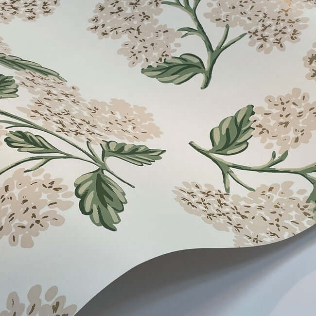 hydrangea-wallpaper-white-blush-york-wallcoverings-rp7393 - York Wallcoverings Wallpaper