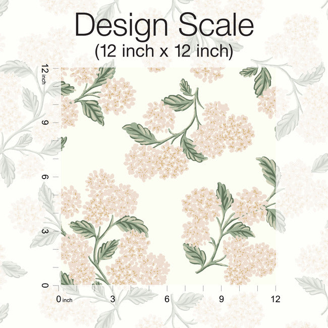 hydrangea-wallpaper-white-blush-york-wallcoverings-rp7393