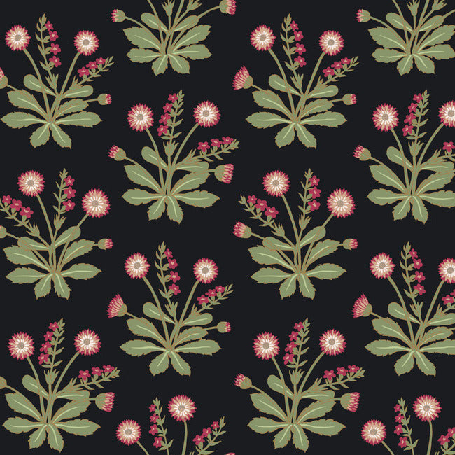meadow-flowers-wallpaper-black-rose-york-wallcoverings-ac9152