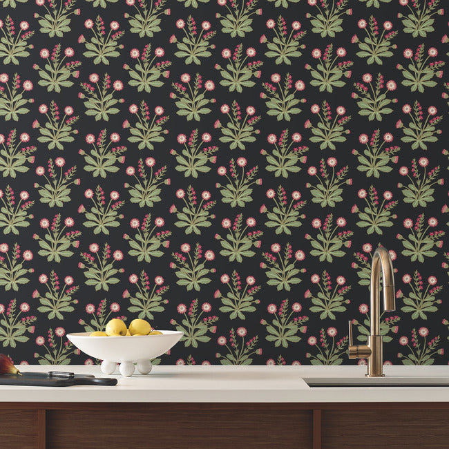 meadow-flowers-wallpaper-black-rose-york-wallcoverings-ac9152