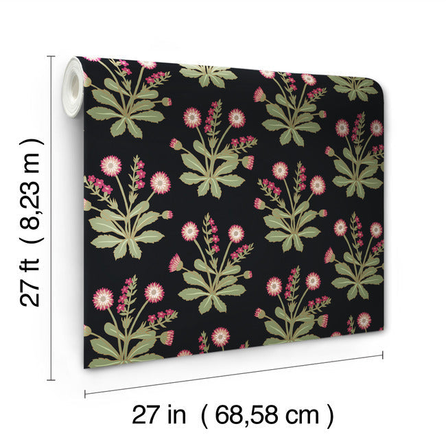 meadow-flowers-wallpaper-black-rose-york-wallcoverings-ac9152