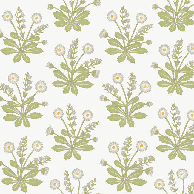 meadow-flowers-wallpaper-white-york-wallcoverings-ac9155