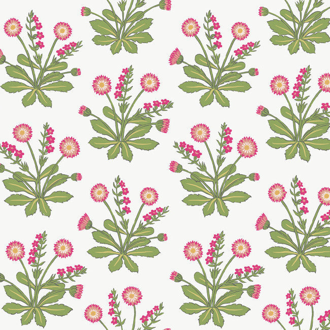 meadow-flowers-wallpaper-white-rose-york-wallcoverings-ac9153