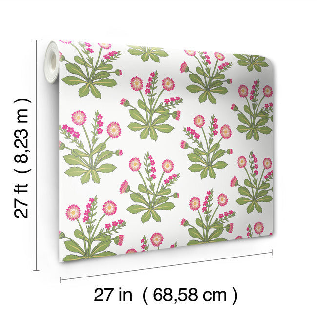 meadow-flowers-wallpaper-white-rose-york-wallcoverings-ac9153