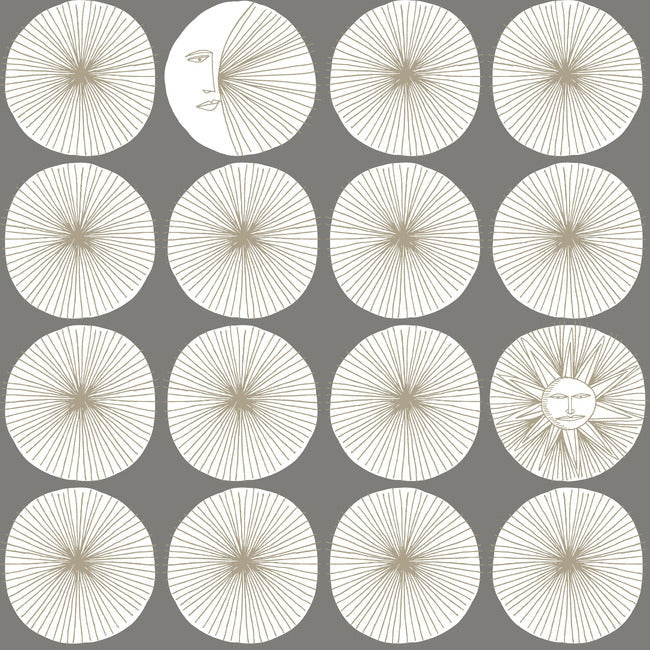 soho-starburst-premium-peel-stick-wallpaper-cosmos-grey-glint-york-wallcoverings-psw1217rl