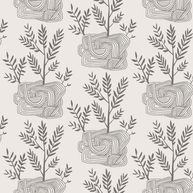 Seedlings Grey Peel & Stick Wallpaper - York Wallcoverings - PSW1227RL
