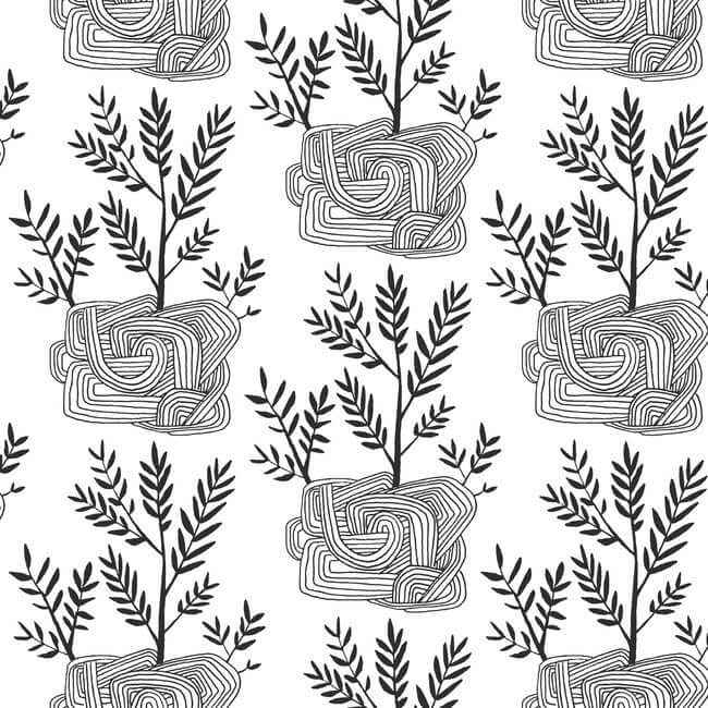 Seedlings Black Peel & Stick Wallpaper - York Wallcoverings - PSW1229RL - York Wallcoverings Wallpaper