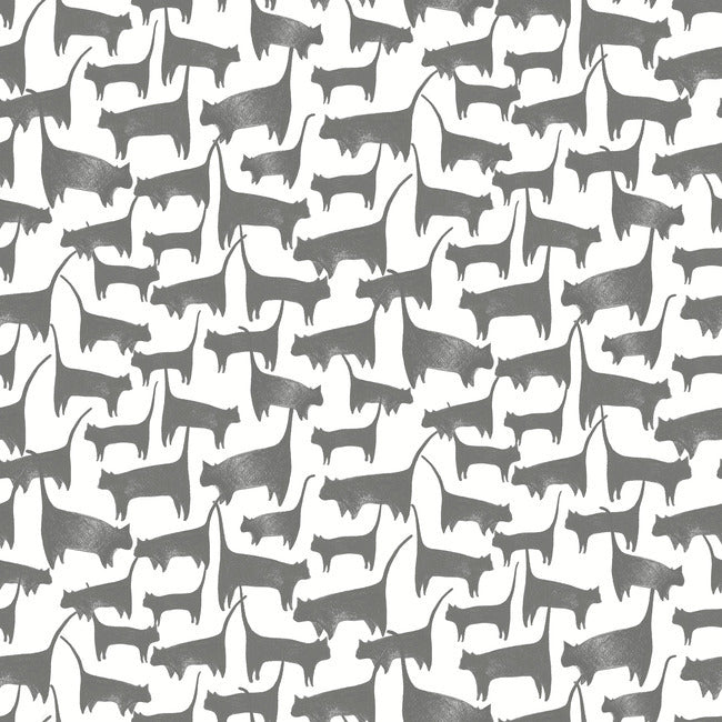 cat-tails-premium-peel-stick-wallpaper-charcoal-york-wallcoverings-psw1340rl