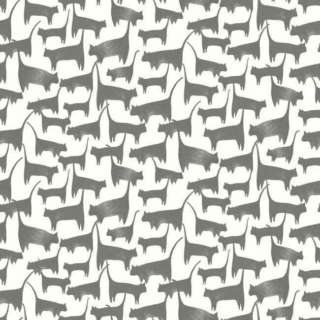 Cat Tails Black Peel & Stick Wallpaper - York Wallcoverings - PSW1340RL - York Wallcoverings Wallpaper