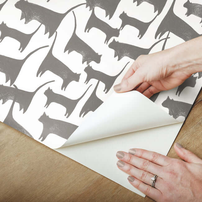 cat-tails-premium-peel-stick-wallpaper-charcoal-york-wallcoverings-psw1340rl - York Wallcoverings Wallpaper