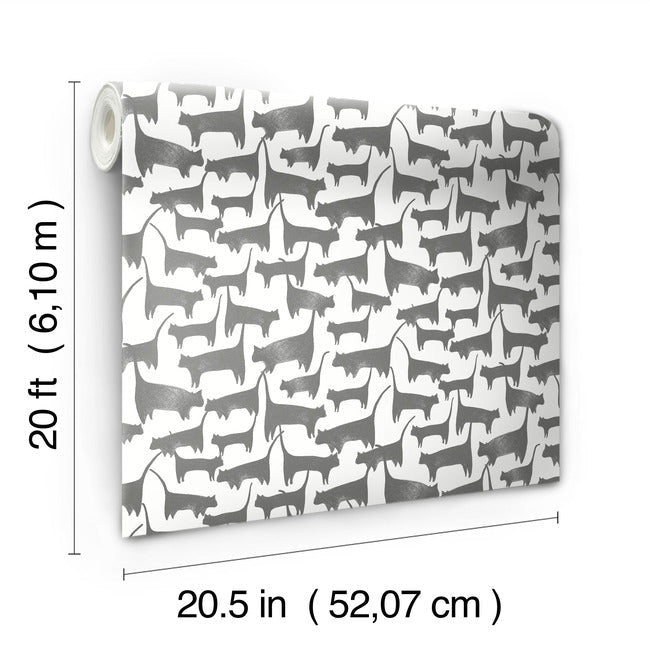 cat-tails-premium-peel-stick-wallpaper-charcoal-york-wallcoverings-psw1340rl