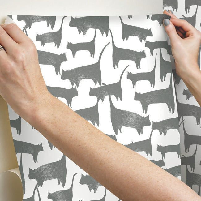 cat-tails-premium-peel-stick-wallpaper-charcoal-york-wallcoverings-psw1340rl