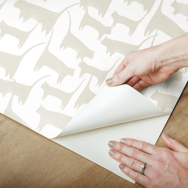 cat-tails-premium-peel-stick-wallpaper-neutral-york-wallcoverings-psw1341rl