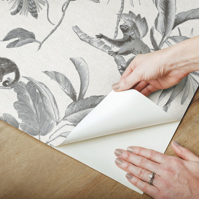 botanicals-lemurs-premium-peel-stick-wallpaper-graphite-york-wallcoverings-psw1354rl