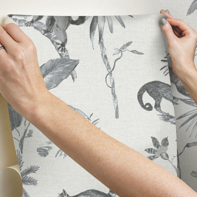 botanicals-lemurs-premium-peel-stick-wallpaper-graphite-york-wallcoverings-psw1354rl