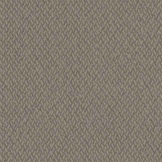Give & Take Brown Wallpaper - York Wallcoverings - ND3025N