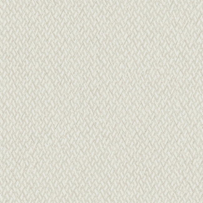give-take-high-performance-wallpaper-goals-york-wallcoverings-nd3021n