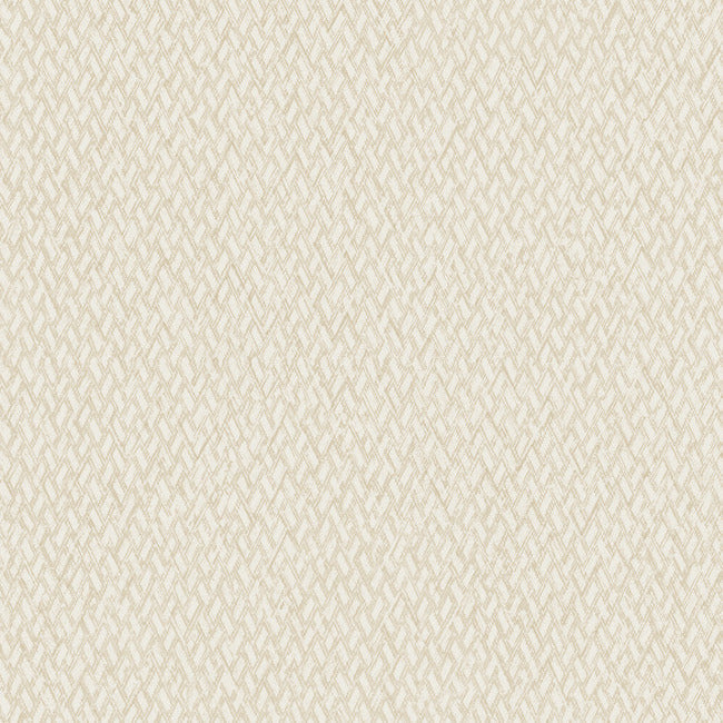 give-take-high-performance-wallpaper-motivated-york-wallcoverings-nd3023n