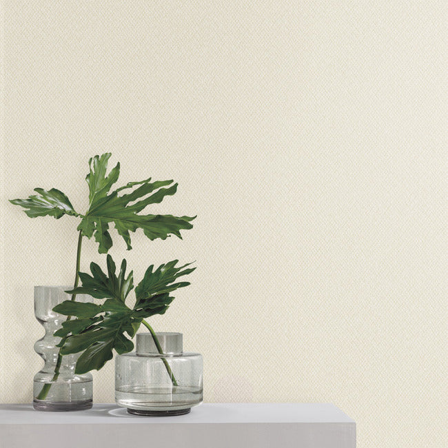 give-take-high-performance-wallpaper-motivated-york-wallcoverings-nd3023n